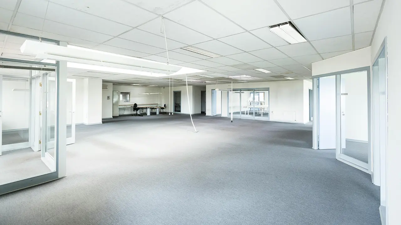 modern-office-clean-carpeting